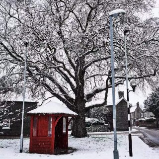 ☁️赏一波剑桥的雪❄️...