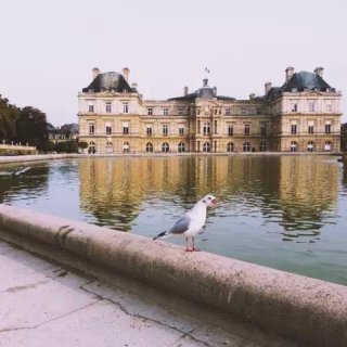 巴黎⛲️——Jardins Du Lux...