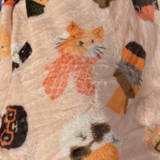 超可爱的猫咪🐱粉色毛毯...