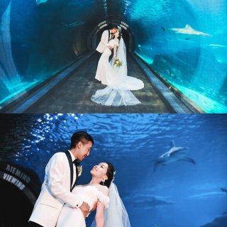 我的梦幻海洋风水族馆婚礼...
