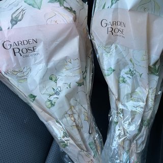 无比幸运😍 我终于也买到花园精品玫瑰了...