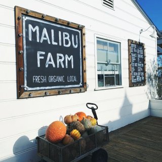 Malibu Pier 马里布码头⛵️...