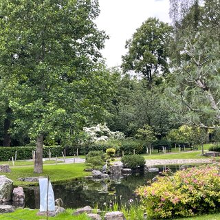 伦敦隐藏的超精致小花园：Kyoto Ga...