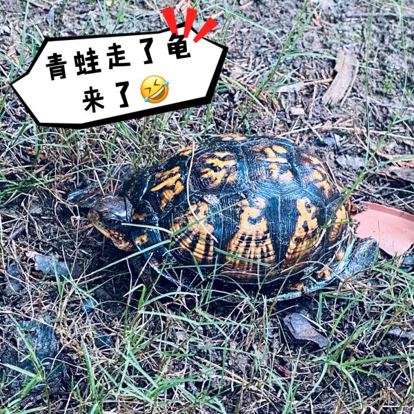 晒货图片