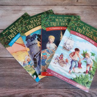 《神奇的树屋》低年级儿童系列阅读丛书1⃣...
