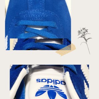 再来一双Adidas鞋...