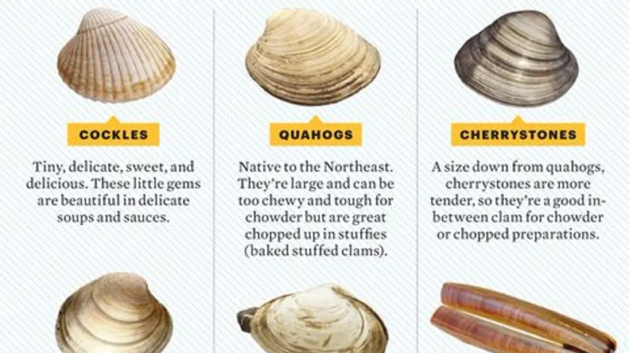 告别脸盲 | 北美常见贝壳类海鲜烹饪选购（二）