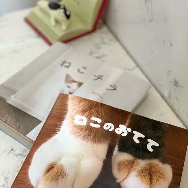 晒货图片
