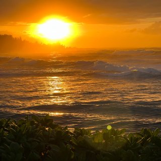 夏威夷海边看日落｜度假穿搭...