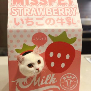 【猫咪玩具推荐】廿廿牌牛奶🥛可以喝一口吗...