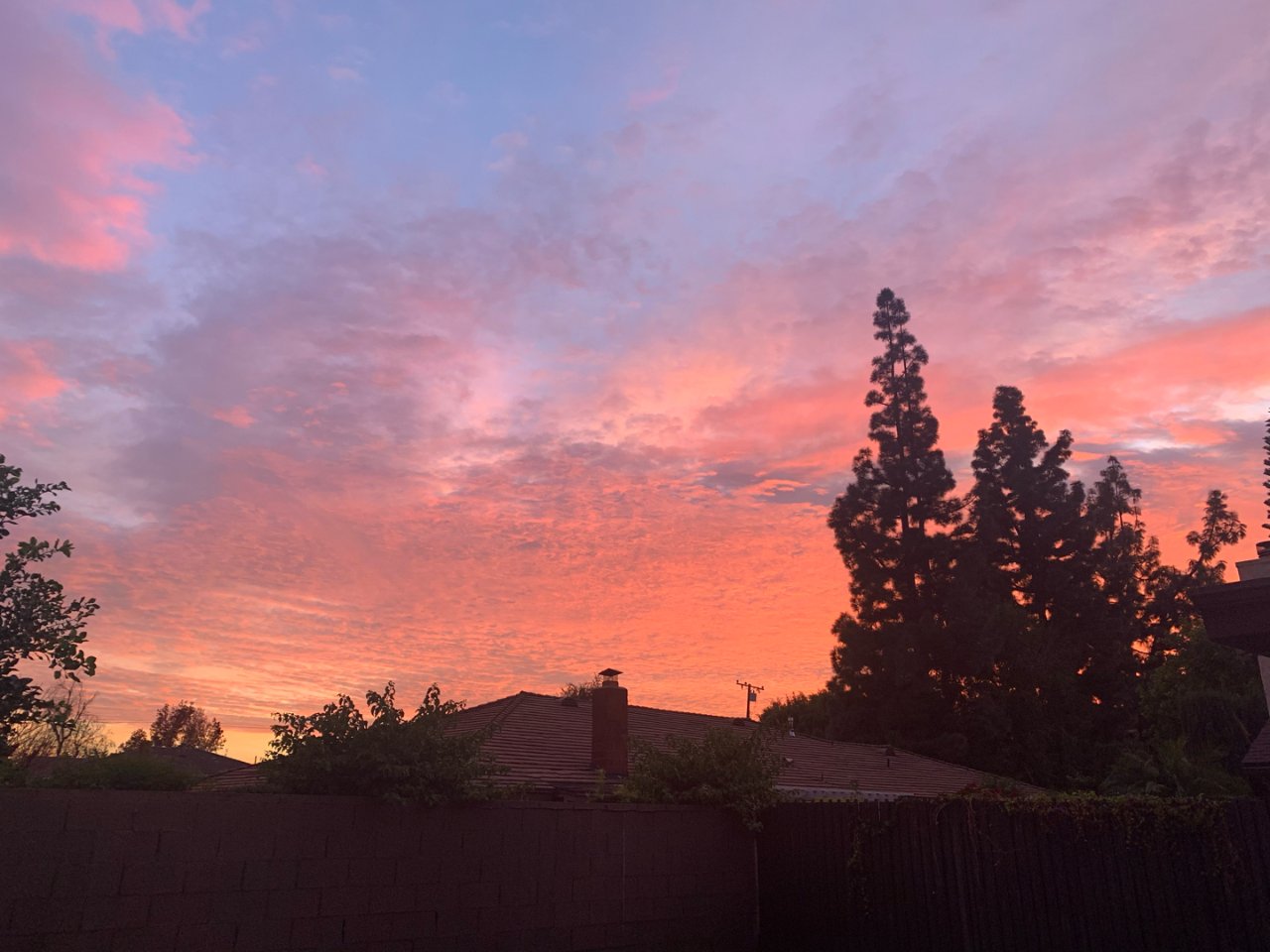 洛杉矶的夕阳真的好美...