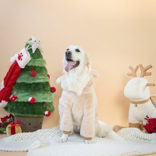 这个圣诞带上你的可爱修狗一起合照了吗...
