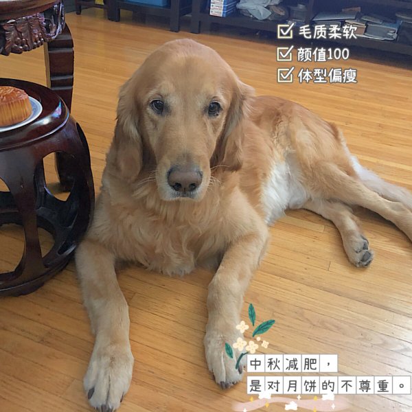 晒货图片