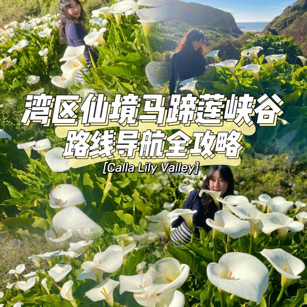 晒货图片