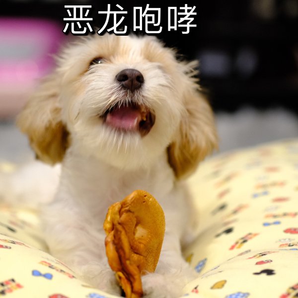 晒货图片