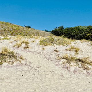 加州一号公路浪·传说中的“紫色沙滩”值不...