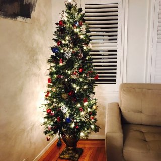[Day 10] 我家圣诞树...