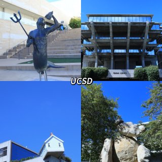 UCSD校园及附近怎么玩❓看这一篇就够👏...