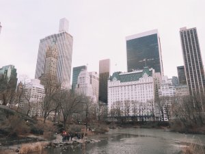 纽约＊经典的中央公园冬季游