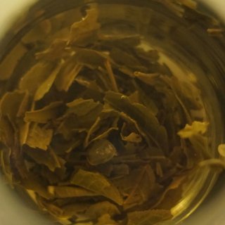 Best leaf tea茉莉花茶-茶与...