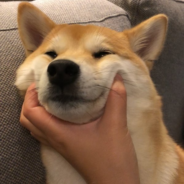 晒货图片