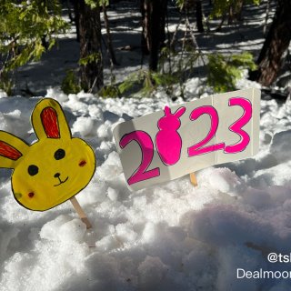 2023元旦节去玩雪...