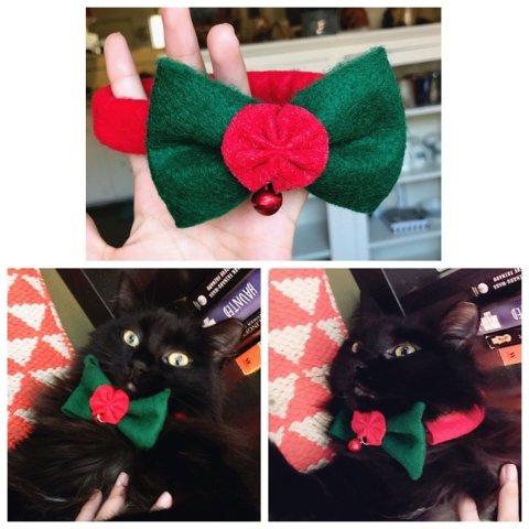 DIY 猫咪项圈

这个题目正中下怀啊！平时喜欢做做手工，打扮我们家米西。用的都