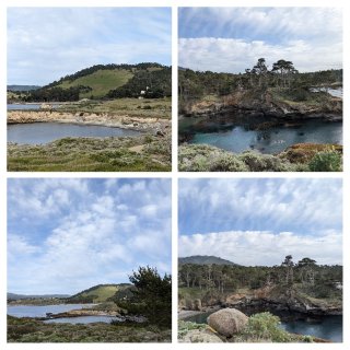 带娃看seal--Point Lobos...