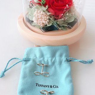 Tiffany infinity系列 手...