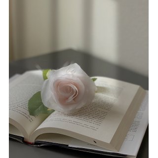 家居美学 ｜光影下的一朵玫瑰花...