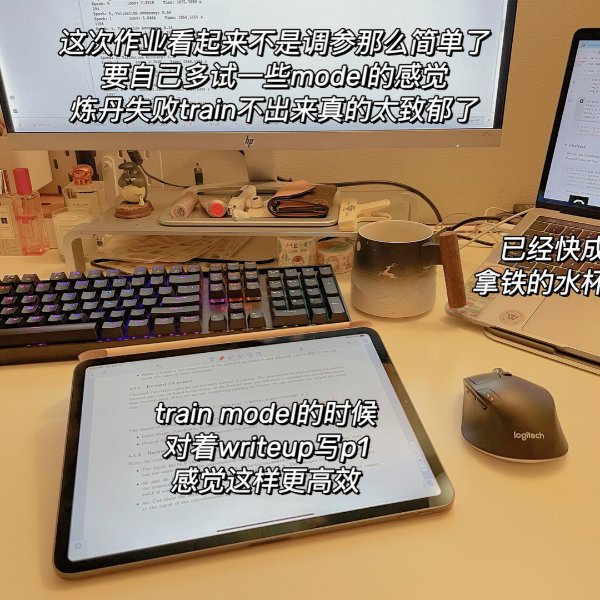 晒货图片
