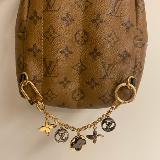 Blossom Dream Chain Bag Charm in Gold - Accessories M00356 | LOUIS VUITTON ®,Palm Springs Mini Monogram Reverse in Brown - Handbags M44872 | LOUIS VUITTON ®