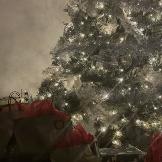 Merry Xmas【每年一次的Sant...