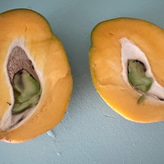 北美最好吃的芒果🥭Kent芒果又回归啦...