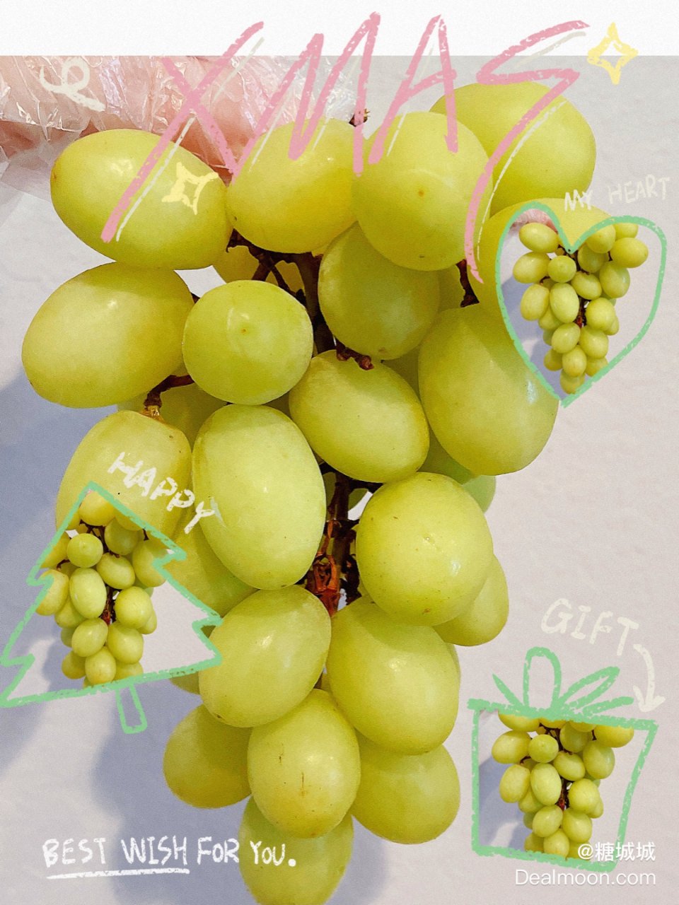最好吃的青提｜秘鲁Camposol无籽青提| 社区美食精选