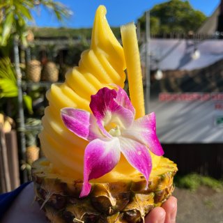 夏威夷钻石头山下的菠萝冰淇淋🍍和椰子🥥...