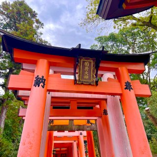 日本游最后一站～京都必打卡景点⛩️伏见稻...