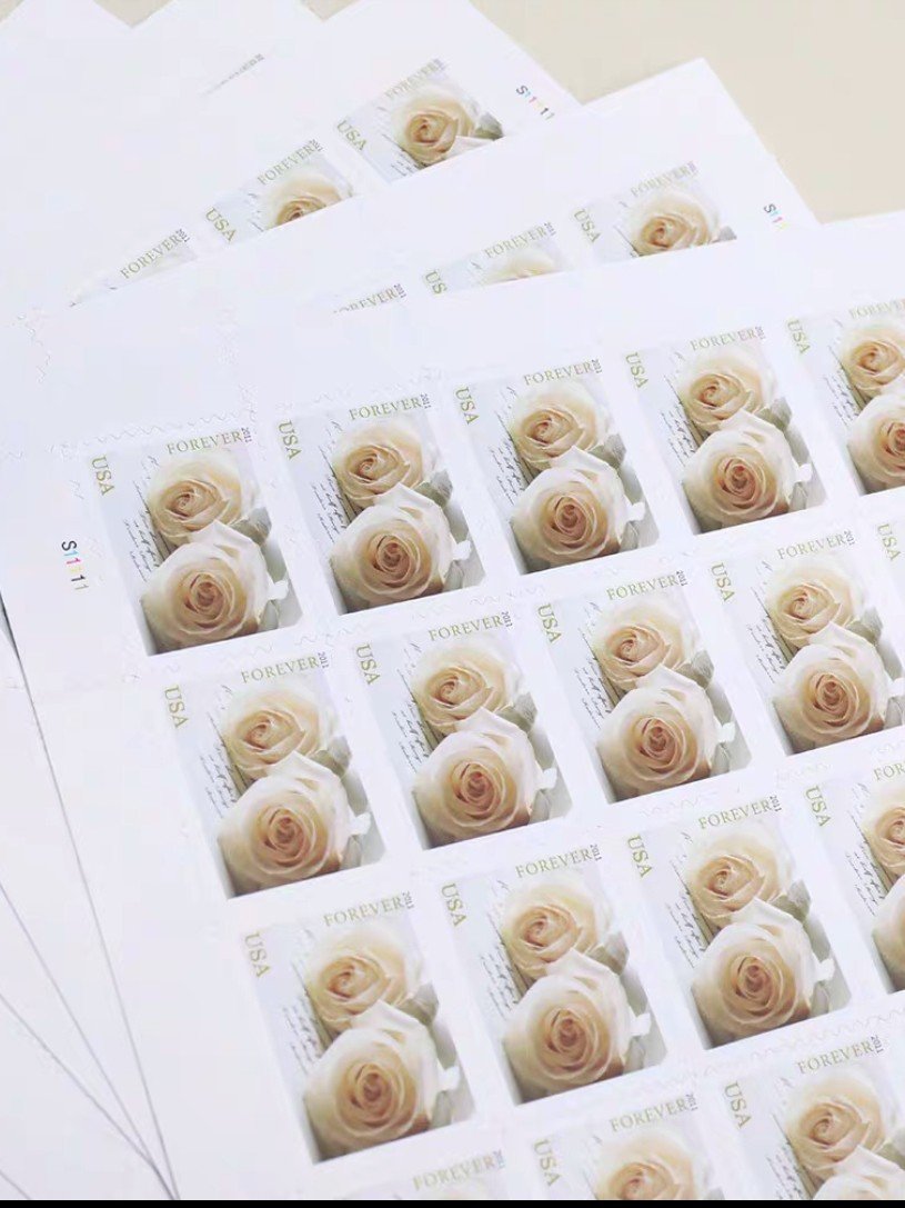 白玫瑰邮票