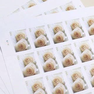 白玫瑰邮票