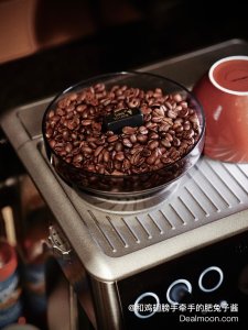 Amazon 意式咖啡豆品牌推荐 | Lavazza