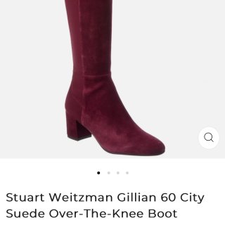 Stuart Weitzman Gillian 60 City Suede Over-The-Knee Boot – Shop Premium Outlets