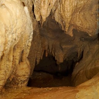 肯塔基猛犸洞穴国家公园｜世界最长的洞穴｜...