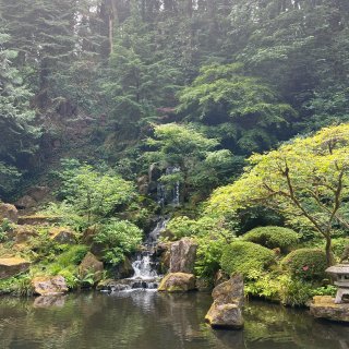 Portland日本庭院🏡...