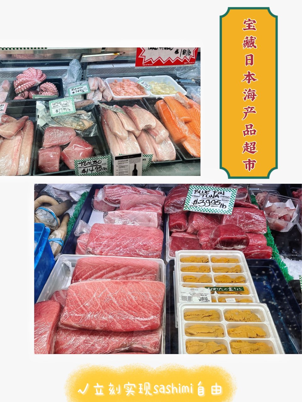 sashimi超新鲜