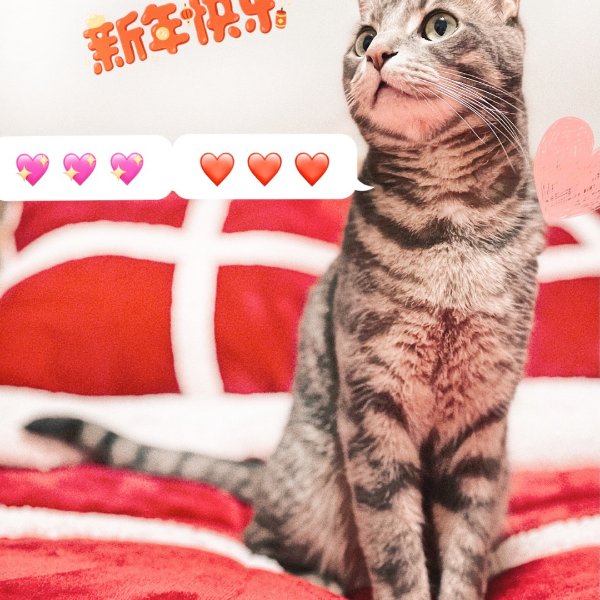 晒货图片