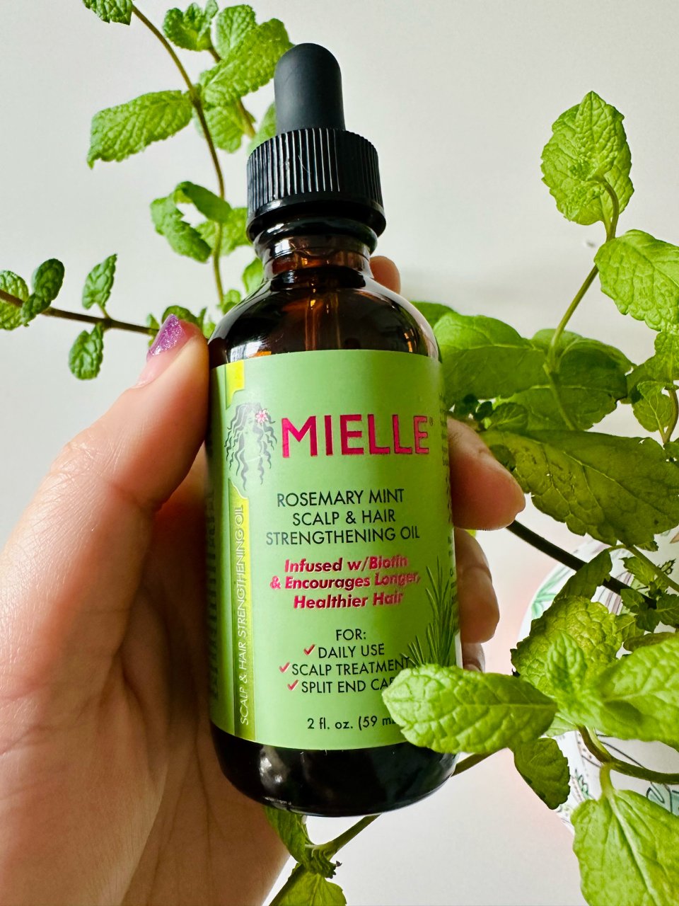  Mielle Organics Rosemary Mint Scalp & Hair Strengthening Oil  for All Hair Types, 2 Ounce : Beauty & Personal Care
