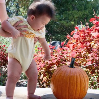 十月万圣南瓜🎃节记录｜元宝的七月龄日常...