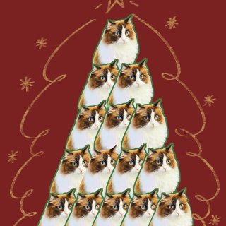 圣诞猫树被玩坏啦！大家圣诞快乐哦！...