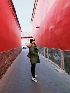 紫禁城的红墙绿瓦，春节前故宫游
