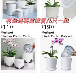 Meshpot 6 inch Clear Plastic Orchid Pots, Pack of 4